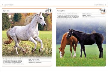 Pocket Eyewitness Horses: Facts at Your Fingertips