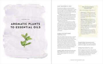 The Ultimate Guide to Aromatherapy: An Illustrated guide to blending essential oils and crafting remedies for body, mind, and spirit: Volume 9