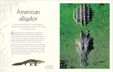 An Anthology of Aquatic Life