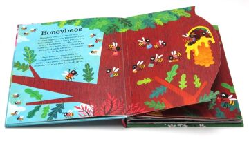 Pop Inside: Animal Homes
