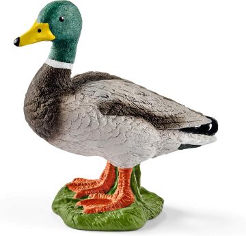 Schleich -Farm World-Erkek Ördek