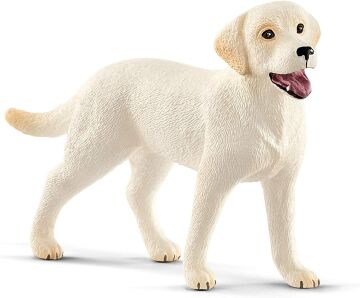 Schleich 42478 Labrador ile Yürüyüş Oyuncak Figürü, Çok Renkli