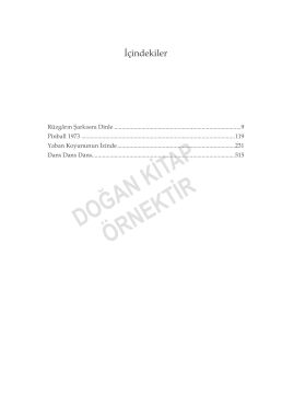 Fare Dörtlemesi (Gri Kapak - Ciltli)