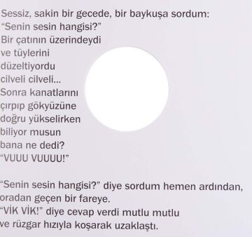 Delikli Kitaplar Serisi - Senin Sesin Hangisi?