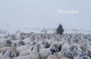 Celebrating the Seasons with the Yorkshire Shepherdess: Farming, Family and Delicious Recipes to Share (Kapak değişebilir)