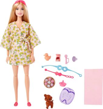 BARBIE BRAND HKT90 BRB WLNSS DL SPA NDV, çok renkli