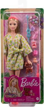 BARBIE BRAND HKT90 BRB WLNSS DL SPA NDV, çok renkli