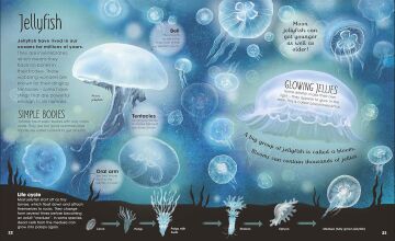 Earth's Incredible Oceans