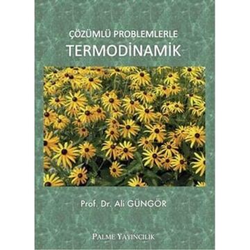 Çözümlü Problemlerle Termodinamik