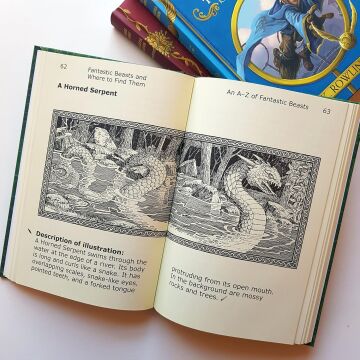 Fantastic Beasts and Where to Find Them: Large Print Dyslexia Edition