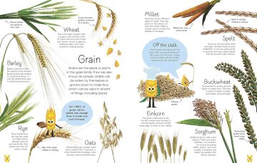 The Best Ever Bread Book: From Farm to Flour Mill, Recipes from Around the World