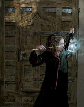 Harry Potter and the Philosopher’s Stone: Illustrated Edition