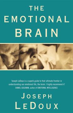 The Emotional Brain: The Mysterious Underpinnings of Emotional Life