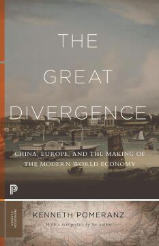 The Great Divergence: China, Europe, and the Making of the Modern World Economy: 117