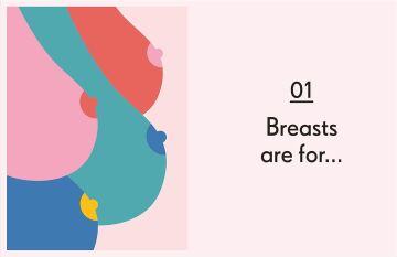 Breasts: An Owner's Guide