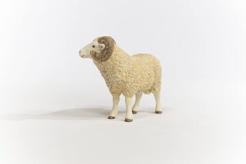 Schleich Koç