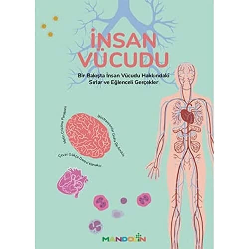 İnsan Vücudu: Bir Bakışta İnsan Vücudu Hakkındaki Sırlar ve Eğlenceli Gerçekler