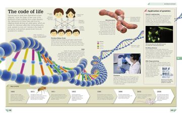 Science Year by Year : A visual history, from stone tools to space travel