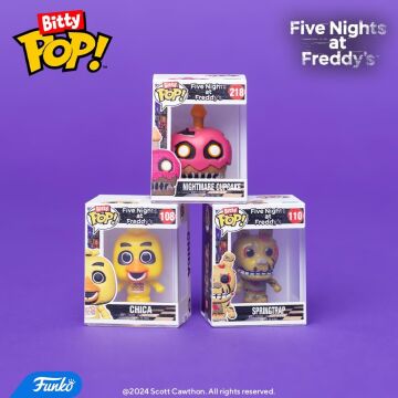 Funko Bitty Pop!: Five Nights at Freddy's Mini Collectible Toys 4-Pack - Freddy, Bonnie, Ballon Boy & Mystery Chase Figure (Styles May Vary)Q