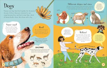 Pets and Their People: The Ultimate Guide to Caring For Animals - Whether You Have One or Not!