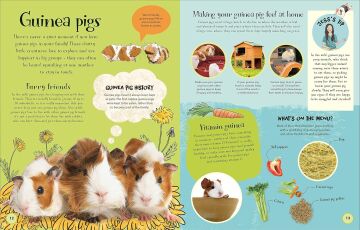 Pets and Their People: The Ultimate Guide to Caring For Animals - Whether You Have One or Not!