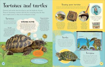 Pets and Their People: The Ultimate Guide to Caring For Animals - Whether You Have One or Not!