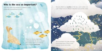 Seas: A lift-the-flap eco book