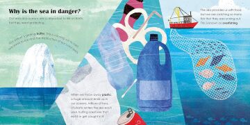 Seas: A lift-the-flap eco book