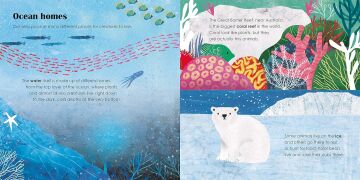 Seas: A lift-the-flap eco book