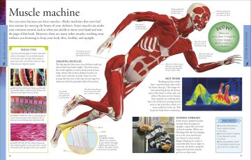 Human Body A Children's Encyclopedia (Kapak değişebilir)