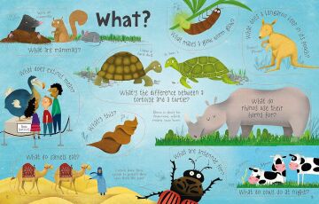 Lift-the-flap Questions and Answers About Animals