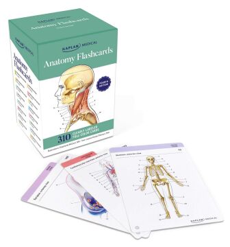 Anatomy Flashcards: 300 Flashcards with Anatomical