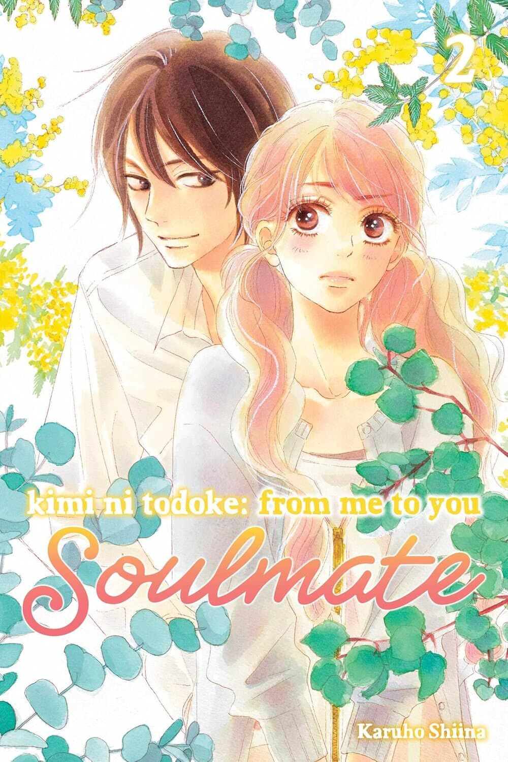 Kimi ni Todoke: From Me to You: Soulmate, Vol. 2: Volume 2