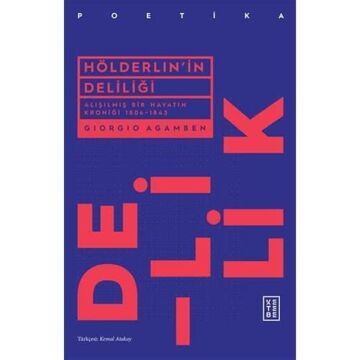 Hölderlin'in Deliliği: Alışılmış Bir Hayatın Kroniği 1806–1843