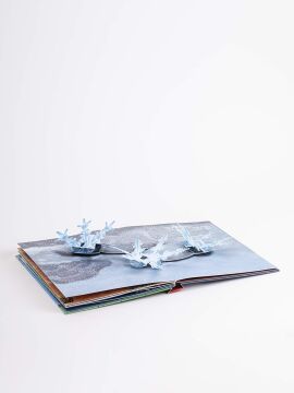 The Weather: Pop-up Book