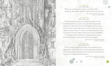 Harry Potter - A Magical Year: The Illustrations of Jim Kay