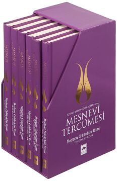 Mesnevi Tercümesi (Ciltli)