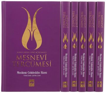 Mesnevi Tercümesi (Ciltli)
