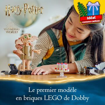 LEGO 76421 Harry Potter™ Ev Cini Dobby™