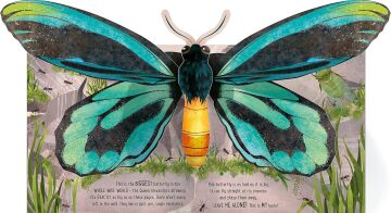 Pop-Up Butterflies