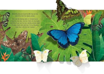 Pop-Up Butterflies