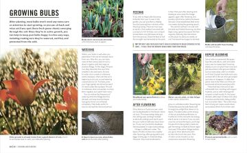 Grow Bulbs: Essential Know-how and Expert Advice for Gardening Success