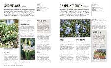 Grow Bulbs: Essential Know-how and Expert Advice for Gardening Success
