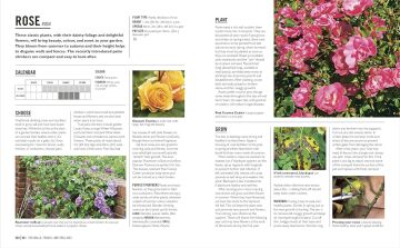 Grow Containers: Essential know-how and expert advice for gardening success