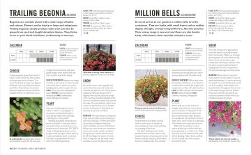 Grow Containers: Essential know-how and expert advice for gardening success