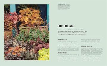 Grow Containers: Essential know-how and expert advice for gardening success