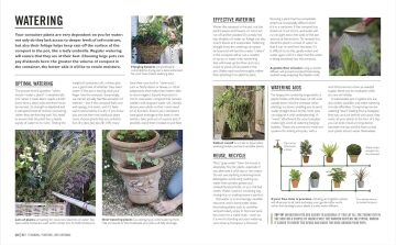 Grow Containers: Essential know-how and expert advice for gardening success