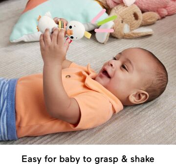Fisher Price Animal Themed Baby Sensory Toy Collection, Teether Rattle & Clacker For Newborns Ages 3M+