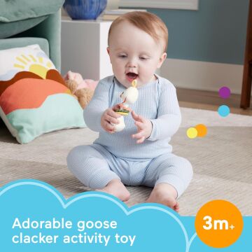 Fisher Price Animal Themed Baby Sensory Toy Collection, Teether Rattle & Clacker For Newborns Ages 3M+