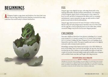 Dragons & Treasures (Dungeons & Dragons): A Young Adventurer's Guide